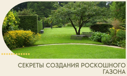 Секреты создания роскошного газона в Екатеринбурге